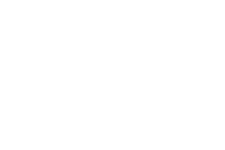 Wish for Shenron (FB07)