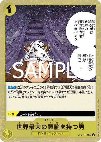 He Possesses the World's Most Brilliant Mind (OP07-114)  