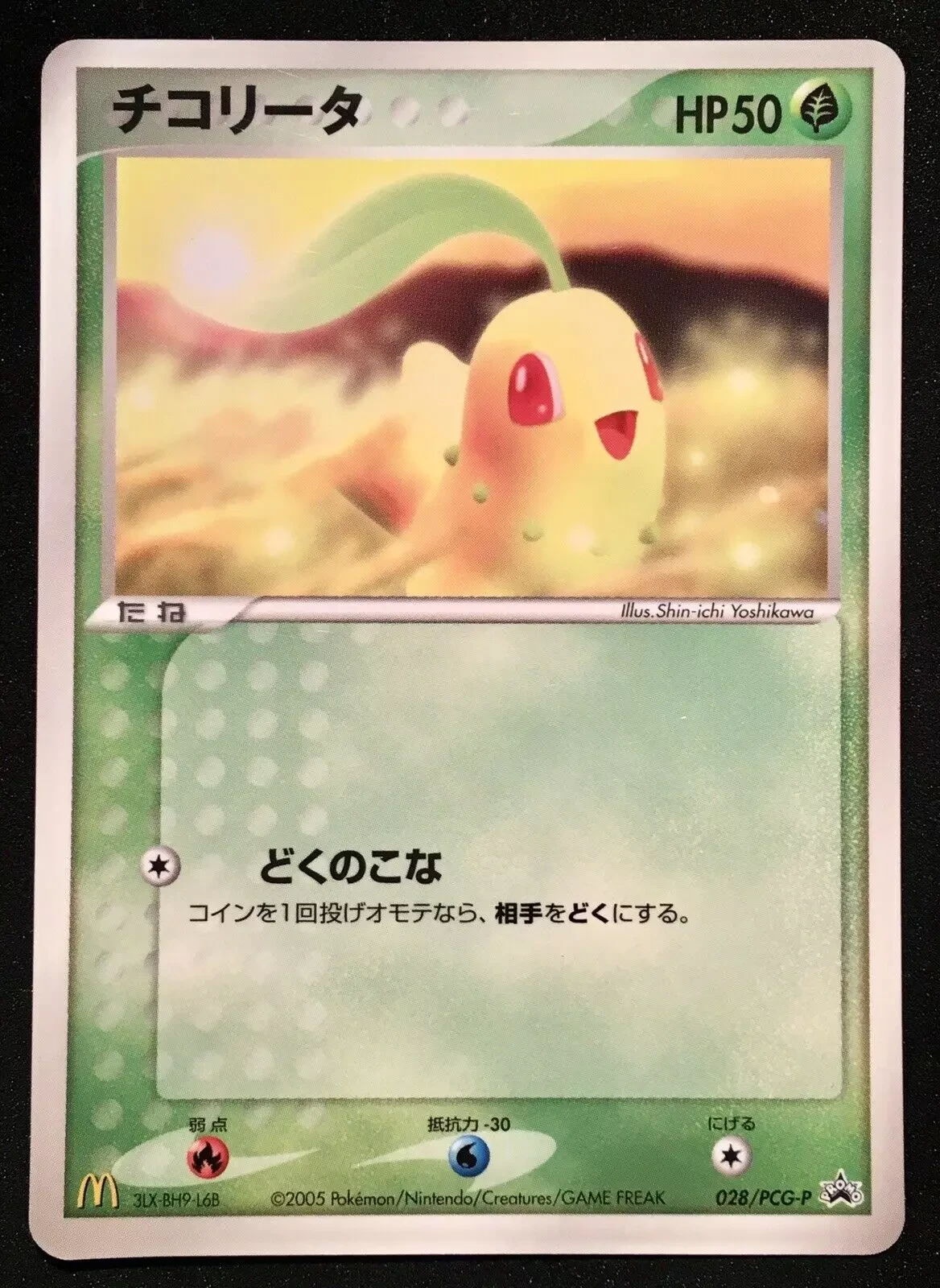 Chikorita