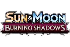 Burning Shadows
